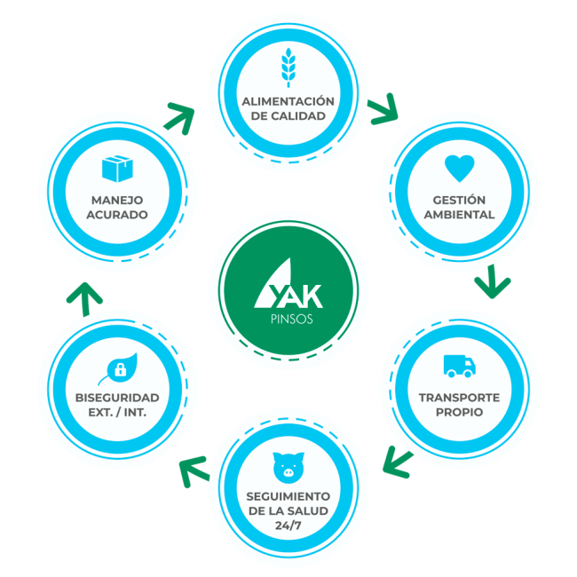 Producció-Porcina-01-ESP