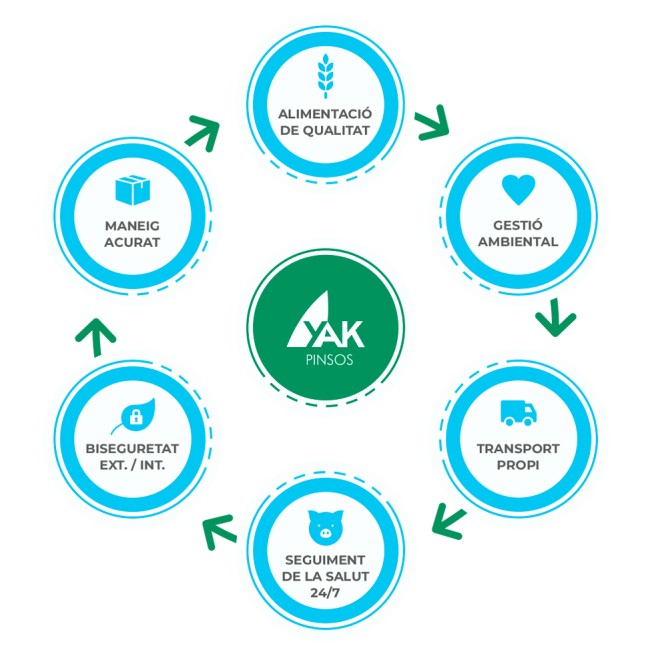 Producció-Porcina-01